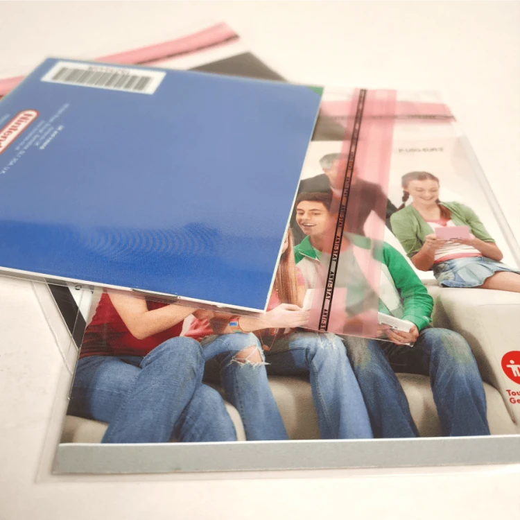 Woreczki Ochronne - Nintendo DS - Manuale 4.png